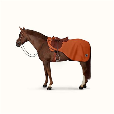 Hermès Horse Equipment 